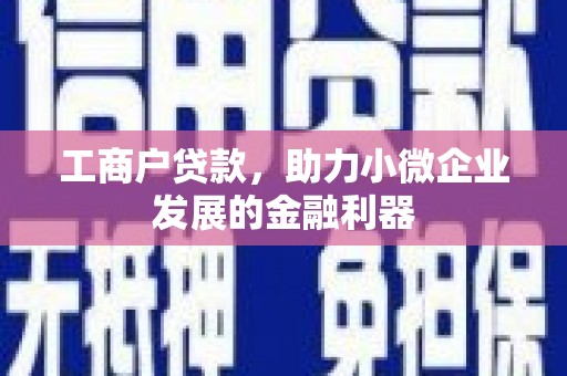 盂县工商户贷款，助力小微企业发展的金融利器