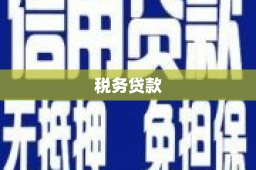 盂县税务贷款