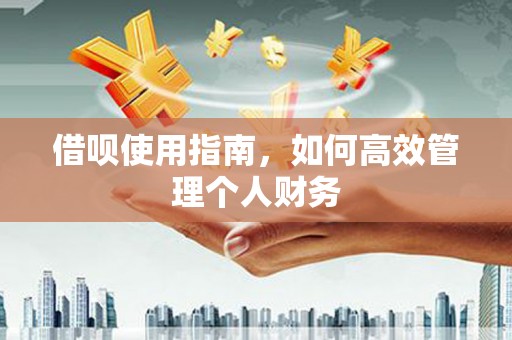 盂县借呗使用指南，如何高效管理个人财务