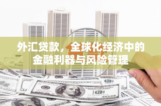 盂县外汇贷款，全球化经济中的金融利器与风险管理