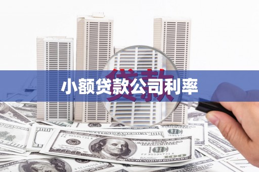 盂县小额贷款公司利率
