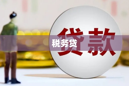 盂县税务贷