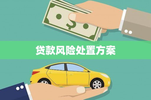 盂县贷款风险处置方案