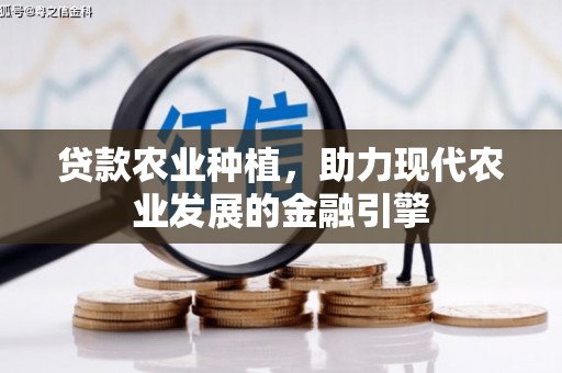盂县贷款农业种植，助力现代农业发展的金融引擎