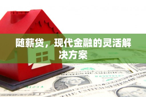 盂县随薪贷，现代金融的灵活解决方案
