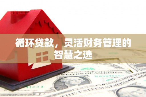 盂县循环贷款，灵活财务管理的智慧之选