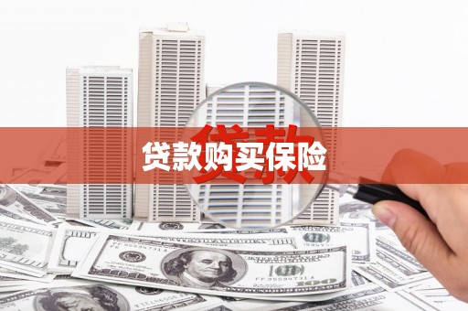 盂县贷款购买保险