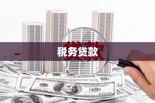 盂县税务贷款