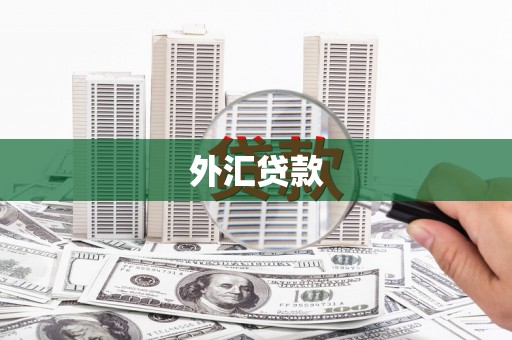 盂县外汇贷款