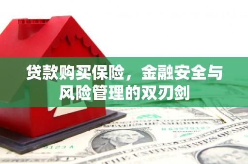 盂县贷款购买保险，金融安全与风险管理的双刃剑
