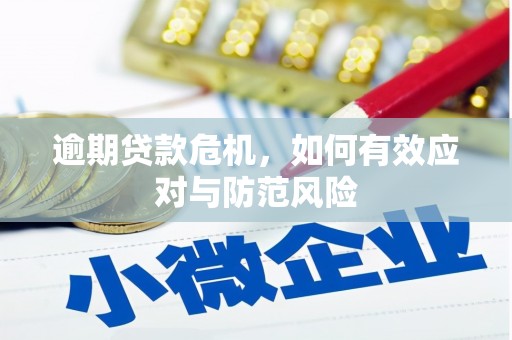 盂县逾期贷款危机，如何有效应对与防范风险