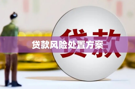 盂县贷款风险处置方案
