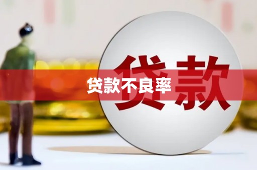 盂县贷款不良率