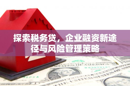 盂县探索税务贷，企业融资新途径与风险管理策略