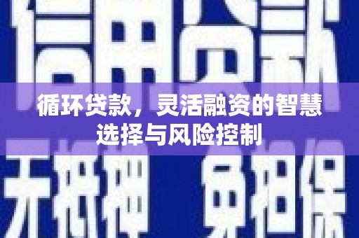 盂县循环贷款，灵活融资的智慧选择与风险控制
