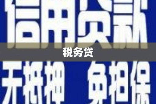 盂县税务贷