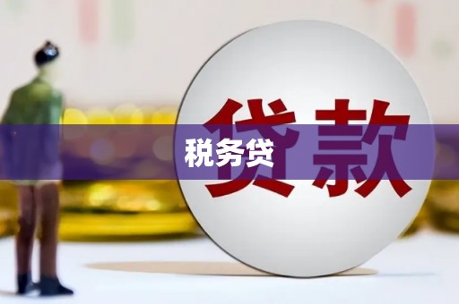 盂县税务贷