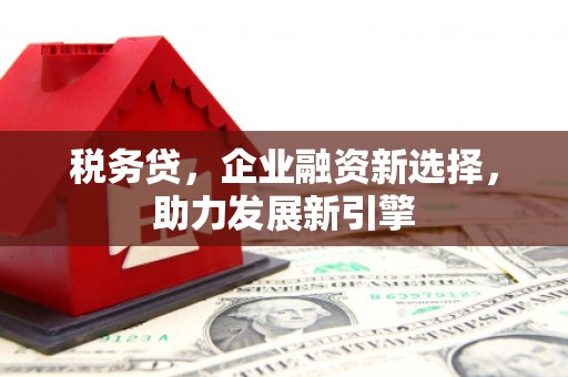 盂县税务贷，企业融资新选择，助力发展新引擎