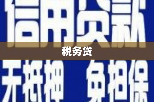 盂县税务贷