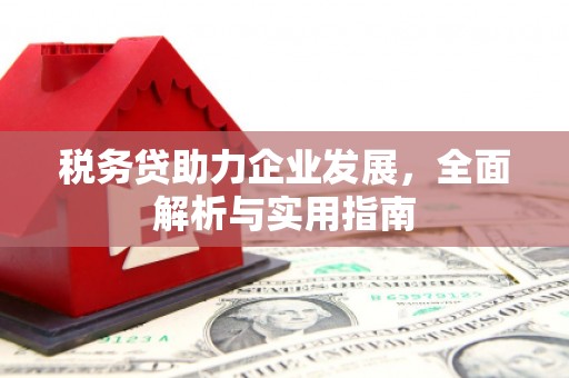盂县税务贷助力企业发展，全面解析与实用指南