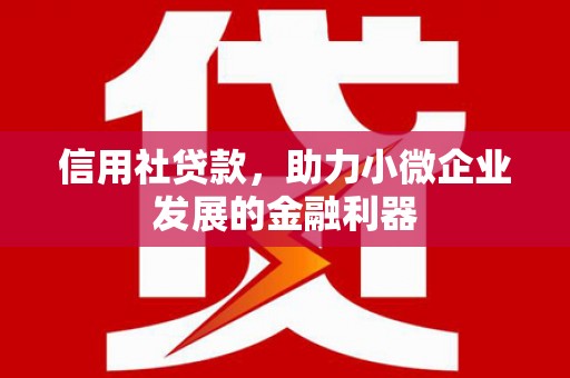 盂县信用社贷款，助力小微企业发展的金融利器