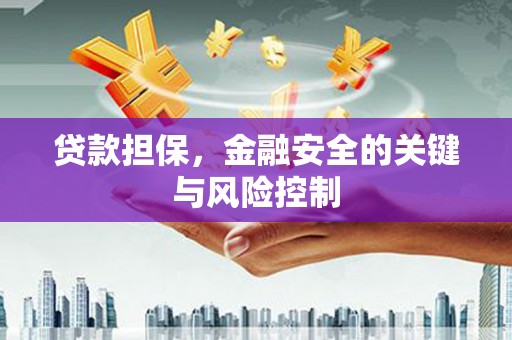盂县贷款担保，金融安全的关键与风险控制