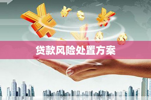 盂县贷款风险处置方案