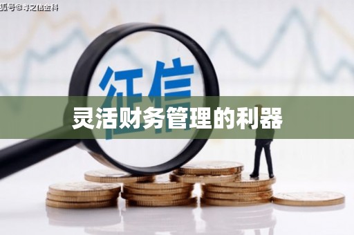 盂县灵活财务管理的利器