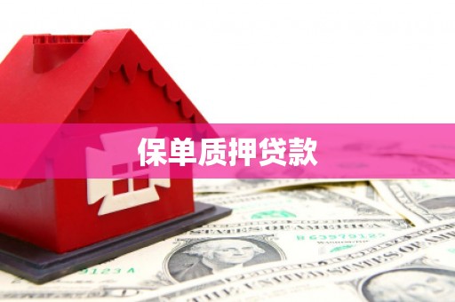 盂县保单质押贷款