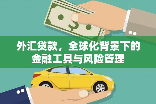 盂县外汇贷款，全球化背景下的金融工具与风险管理