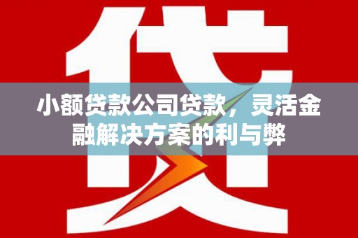 盂县小额贷款公司贷款，灵活金融解决方案的利与弊
